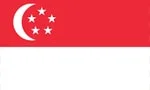 🇸🇬